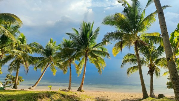 Unlocking the beauty of fall: essential guide to photographing cotswold"s vibrant foliage